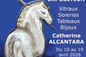 photo Exposition Catherine Borot Alcantara