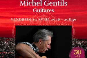 photo Michel Gentils - Guitare 12 cordes, guitare baritone, guitare-sitar