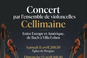 photo Concert Viloncelles