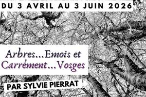 photo Exposition 