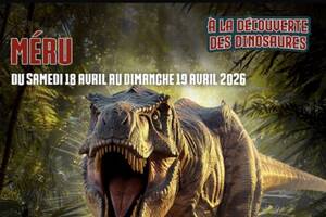 photo À la découverte des dinosaures