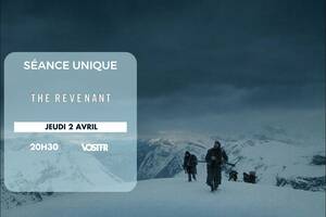 photo Séance unique : The Revenant