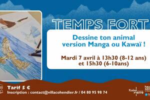 photo Dessine ton animal version manga ou kawaï