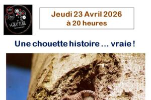 photo Une chouette histoire ... vraie !