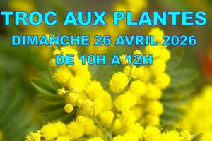 photo Troc aux plantes