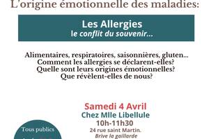 photo Atelier santé et bien être : Comprendre les allergies