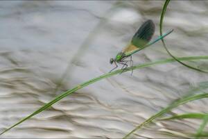 photo Exposition de photographies par l’Atelier Photographique de Villers-sur-Mer
