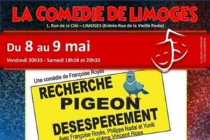 photo Recherche pigeon désespérément à La comédie de Limoges