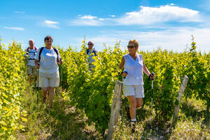 photo La Randonnée Autour de chenonceaux