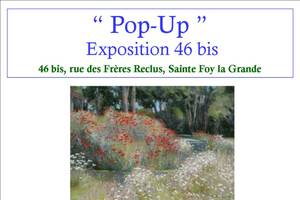photo POP UP  exposition
