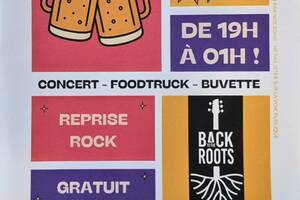 photo Concert Rock Foodtruck Buvette