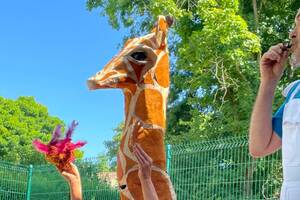 photo Voyage au pays des oiseaux par la compagnie Tout Cour