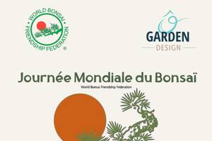 photo Journée mondiale du bonsaï chez Ô Garden Design®