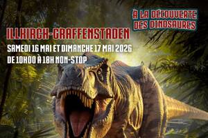 photo Exposition se dinosaures Bas-Rhin