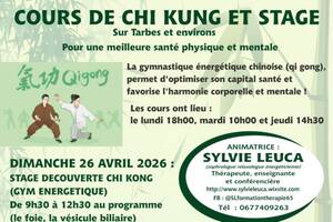 photo STAGE GI GONG GYM ENERGETIQUE CHINOISE