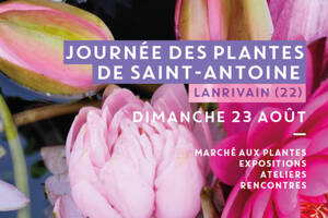 photo Journée des plantes de Saint-Antoine - Festival Lieux mouvants