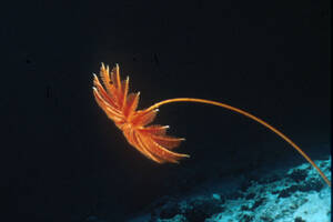 photo Atelier d'écriture