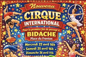 photo Nouveau cirque international
