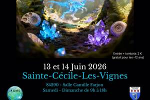 photo Bourse aux minéraux, fossiles et bijoux