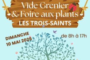 photo Vide grenier et foire aux plants