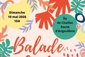 photo Balade Contée sur l'île de Chaillac