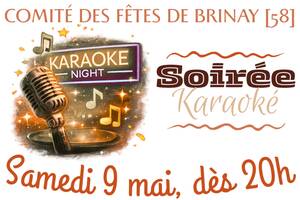 photo Soirée Karaoké