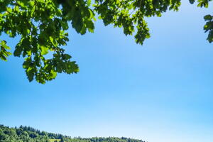 photo  Parcours-découverte au cœur des collections