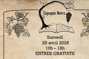 photo Salon du Livre