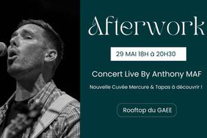 photo Afterwork du 29 mai à La Rochelle : Concert et coucher de soleil au Gaée