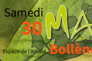 Journée multiculturelle