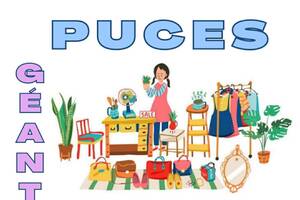 Puces géantes de Saint-Jean-de-Fos