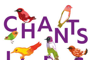 Festival Chants Libres