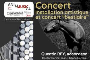 Concert immersif accordéon et installation