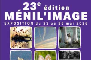 Ménil'image