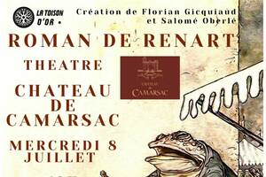 photo Spectacle solo Roman de Renart