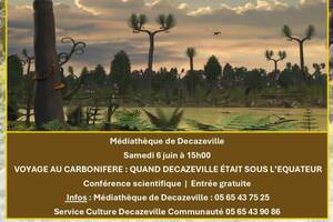 Voyage au Carbonifère : quand Decazeville était sous l'équateur
