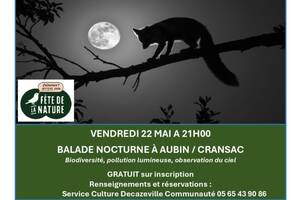 Balade nocturne insolite