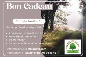 Bain de forêt