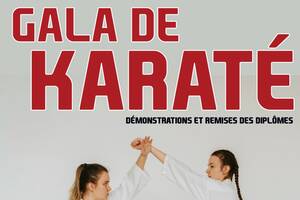 Gala de karaté