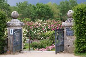 Rendez-vous aux Jardins au Château de La Bussière