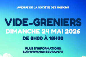 Vide-greniers