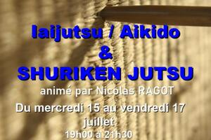 ARTS MARTIAUX TRADITIONNELS JAPONAIS - IAIJUTSU, AIKIKEN et SHURIKEN JUTSU