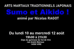 photo ARTS MARTIAUX TRADITIONNELS JAPONAIS - SUMO ET AIKIDO