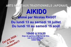 ARTS MARTIAUX TRADITIONNELS JAPONAIS - AIKIDO