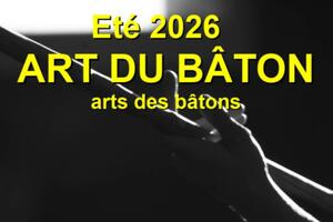 STAGE ART/S DU/DES BÂTON/S