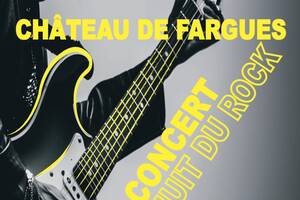 Nuit du Rock