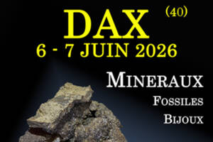 3e SALON MINERAUX FOSSILES BIJOUX