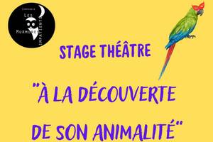 Stage théâtre