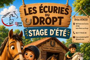 photo Stage d'été