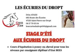 Stage d'été